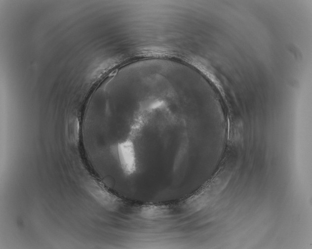 X0000111910109200908101209