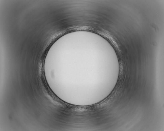 X0000111910110200908101209