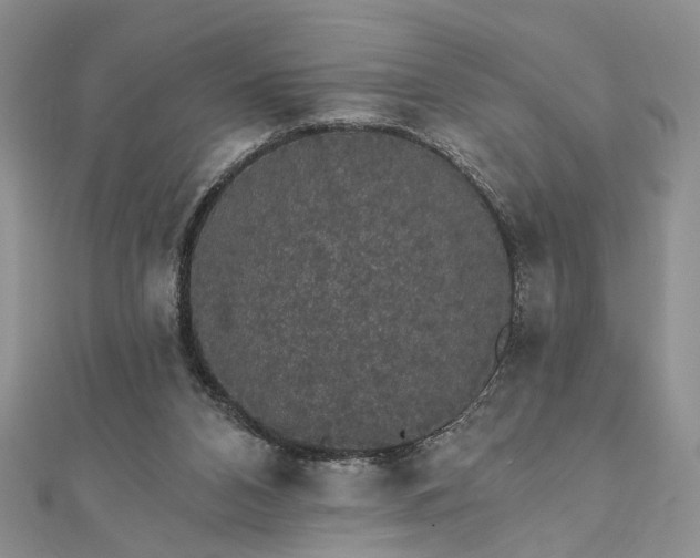 X0000111910112200908101209