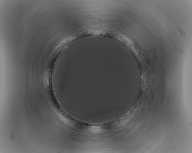 X0000111910114200908101209