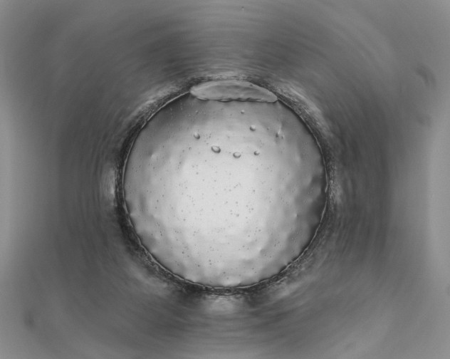 X0000111910115200908101209