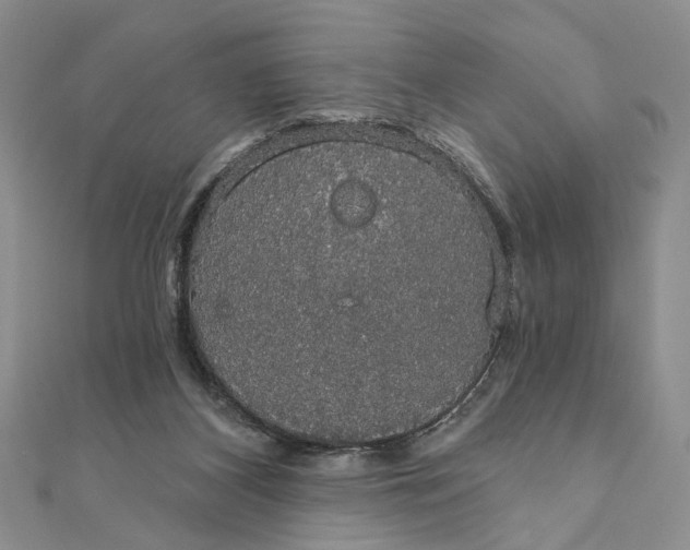 X0000111910116200908101209