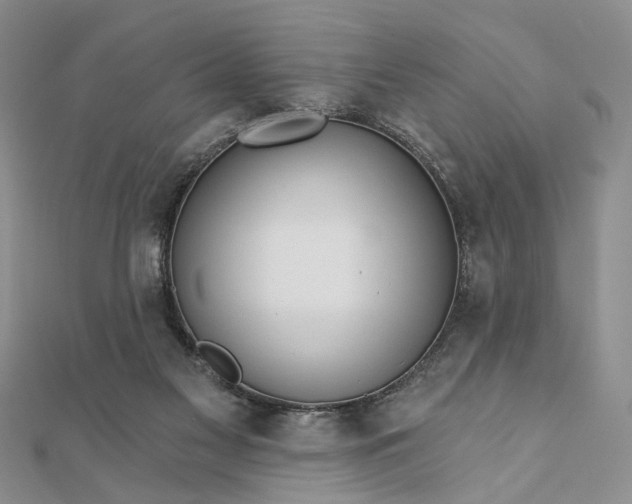 X0000111910117200908101209