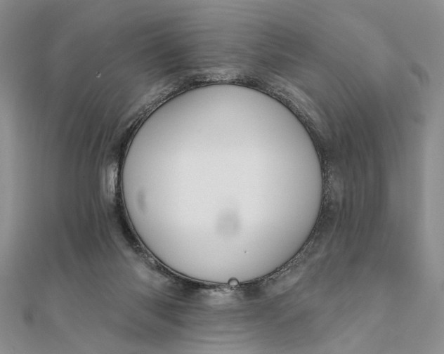 X0000111910118200908101209