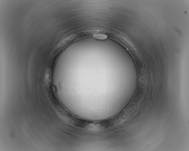 X0000111910119200908101209