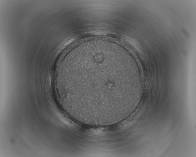 X0000111910120200908101209