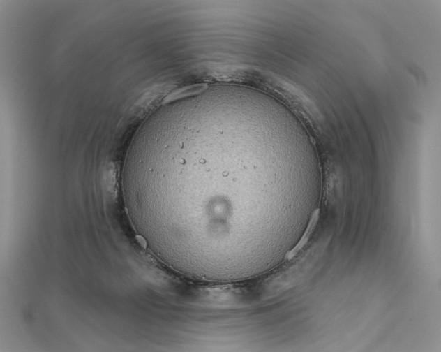 X0000111910121200908101209