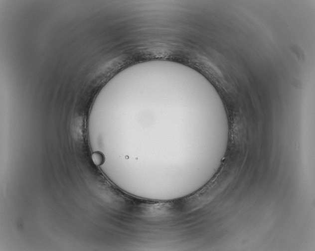 X0000111910122200908101209