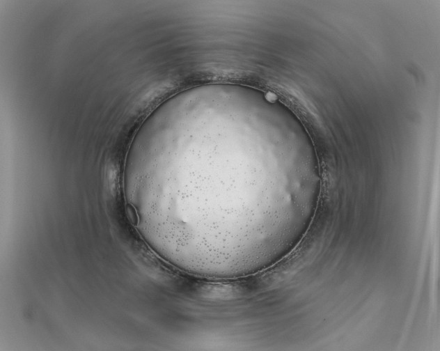 X0000111910123200908101209