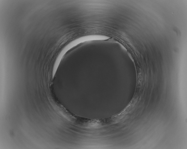 X0000111910124200908101209