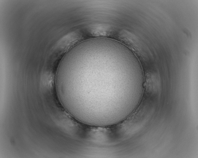 X0000111910125200908101209