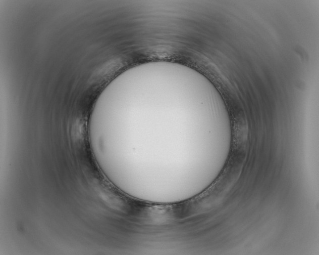 X0000111910126200908101209