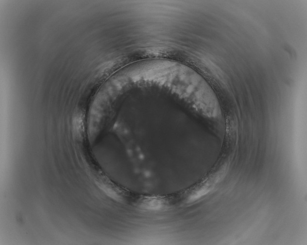 X0000111910127200908101209