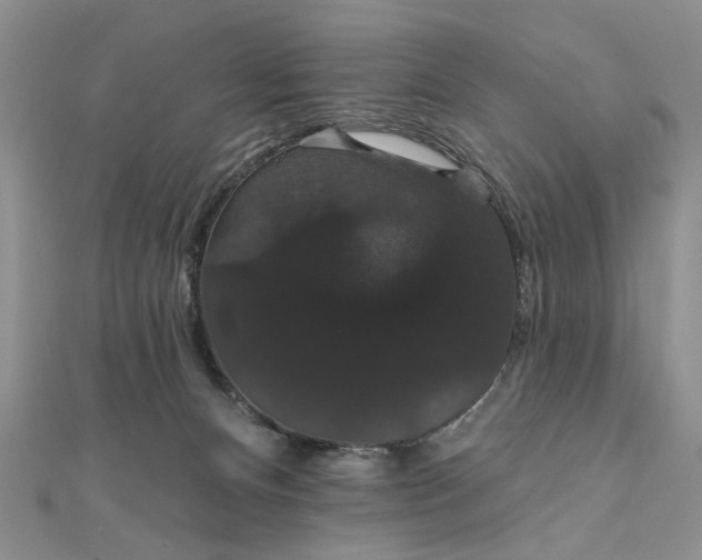 X0000111910128200908101209