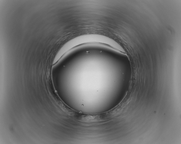 X0000111910129200908101209