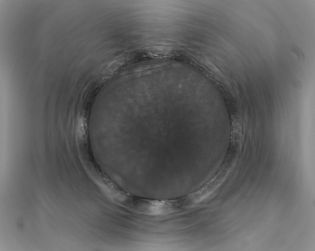 X0000111910130200908101209