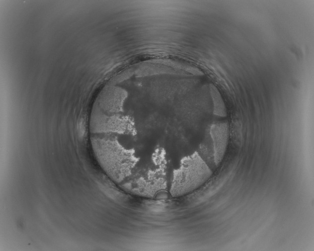 X0000111910131200908101209