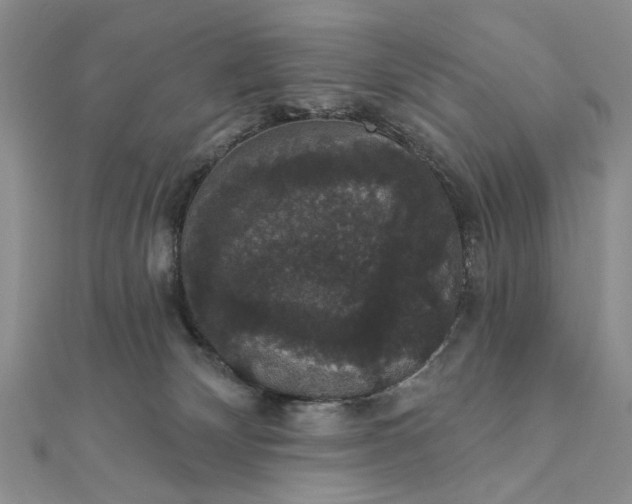 X0000111910132200908101209