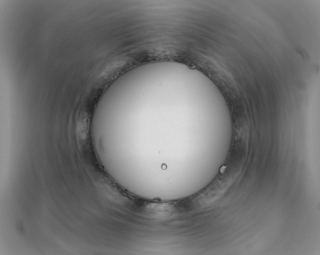 X0000111910133200908101209