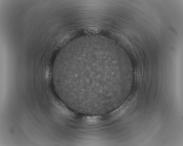 X0000111910134200908101208