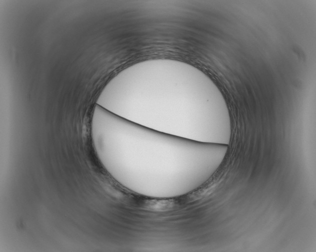 X0000111910135200908101208