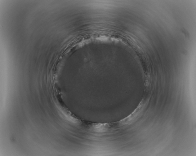 X0000111910136200908101208