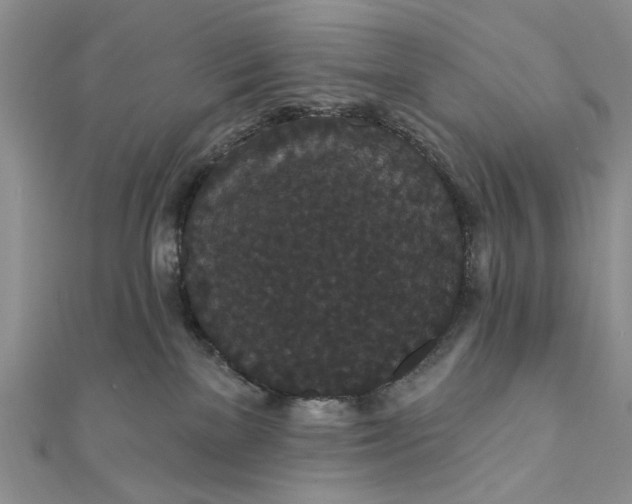 X0000111910137200908101208