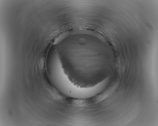 X0000111910139200908101208