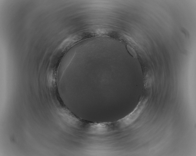 X0000111910140200908101208