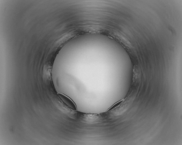 X0000111910141200908101208