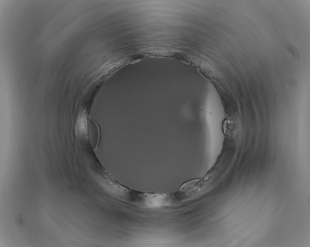 X0000111910143200908101208