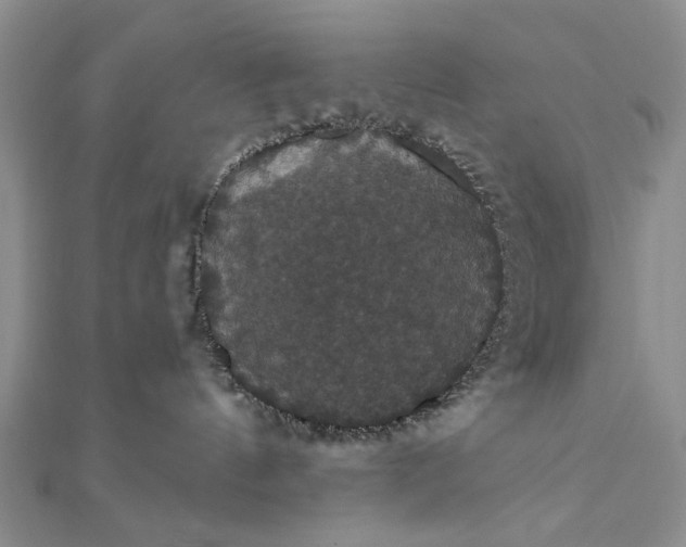 X0000111910144200908101208