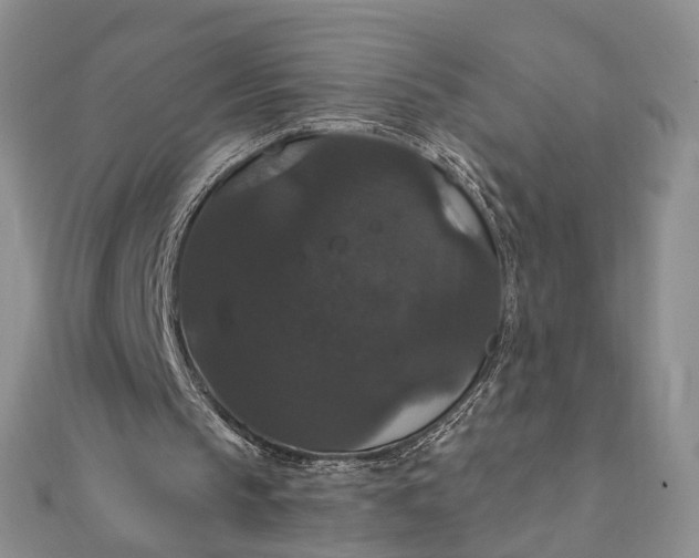 X0000111910145200908101208