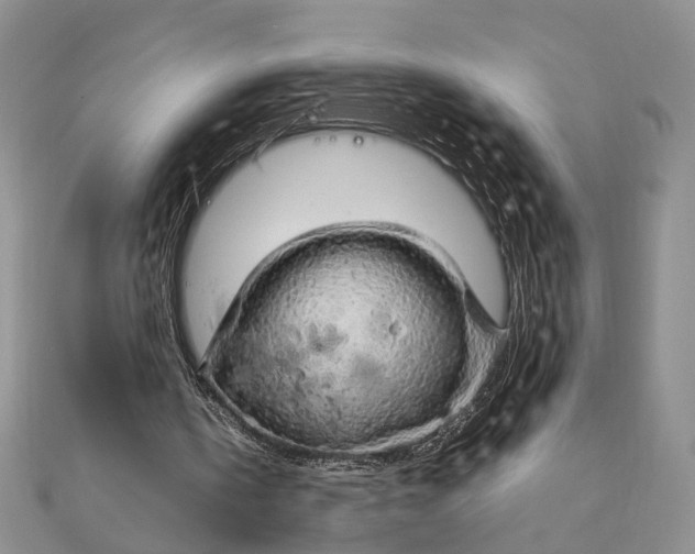 X0000111910146200908101208