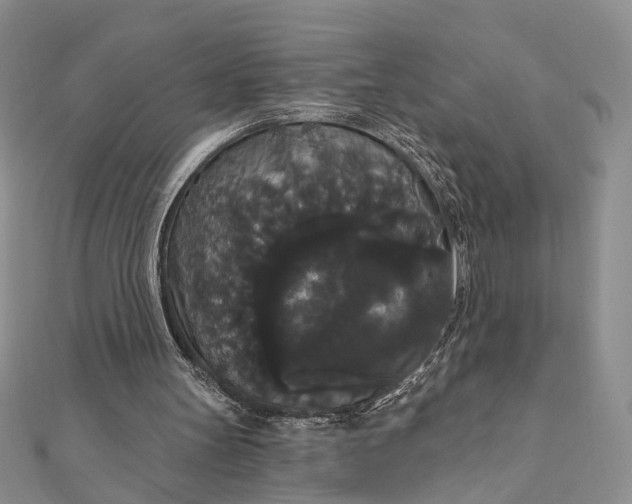 X0000111910147200908101208