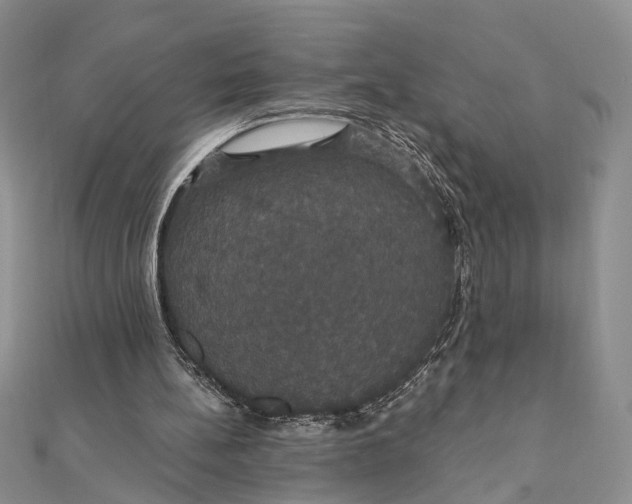 X0000111910148200908101208