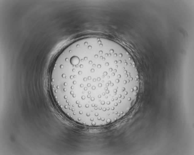 X0000111910149200908101208