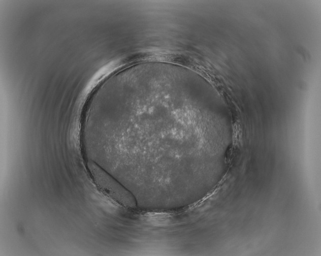 X0000111910150200908101208