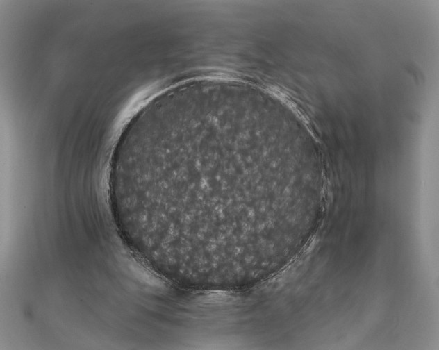 X0000111910151200908101208