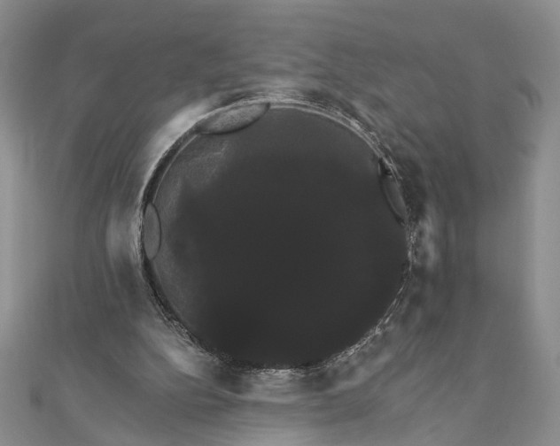 X0000111910152200908101208