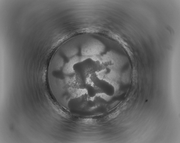 X0000111910153200908101208