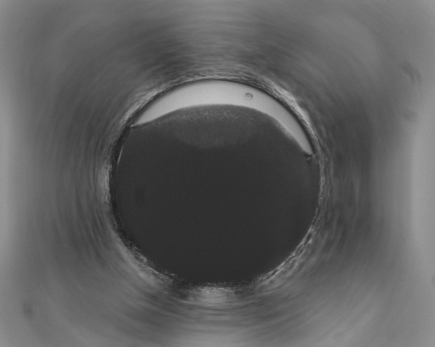 X0000111910154200908101208