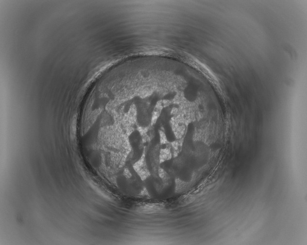 X0000111910155200908101208