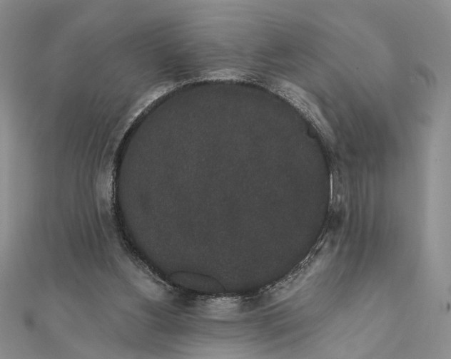 X0000111910156200908101208