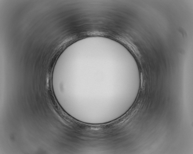 X0000111910157200908101208