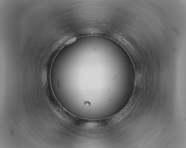 X0000111910158200908101208