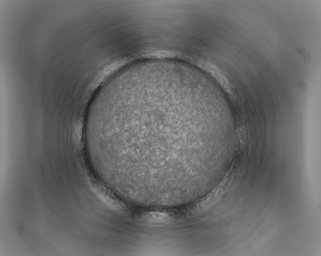 X0000111910159200908101208