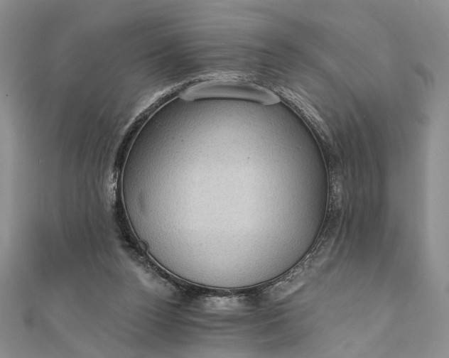 X0000111910160200908101208