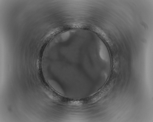 X0000111910161200908101208