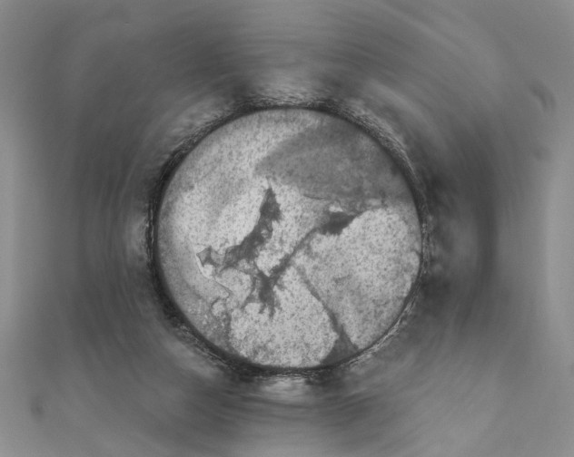 X0000111910162200908101208